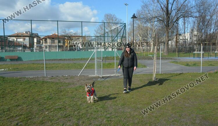Читателка: Почиствайте след кучетата си в парка над ДНА, той е и за деца