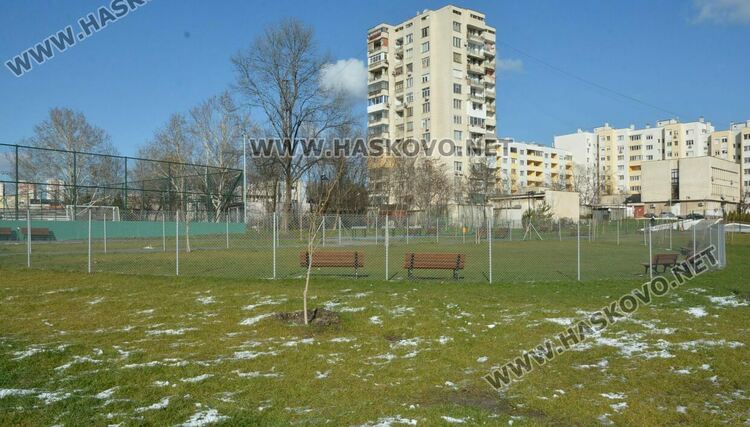 Читателка: Почиствайте след кучетата си в парка над ДНА, той е и за деца