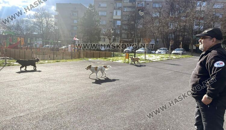 Читателка: Почиствайте след кучетата си в парка над ДНА, той е и за деца