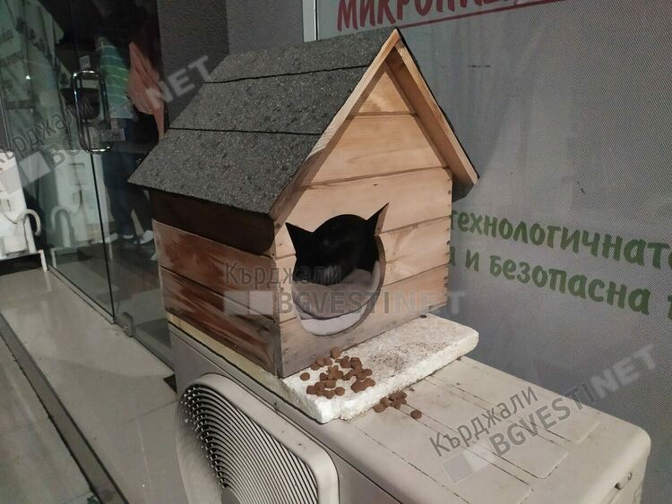   Докато чакат приют за бездомни животни, кържалийци им правят къщички за подслон