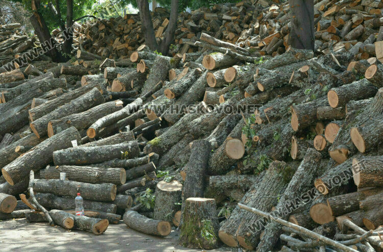 Спипаха жена с близо 4 кубика незаконни дърва край Димитровград