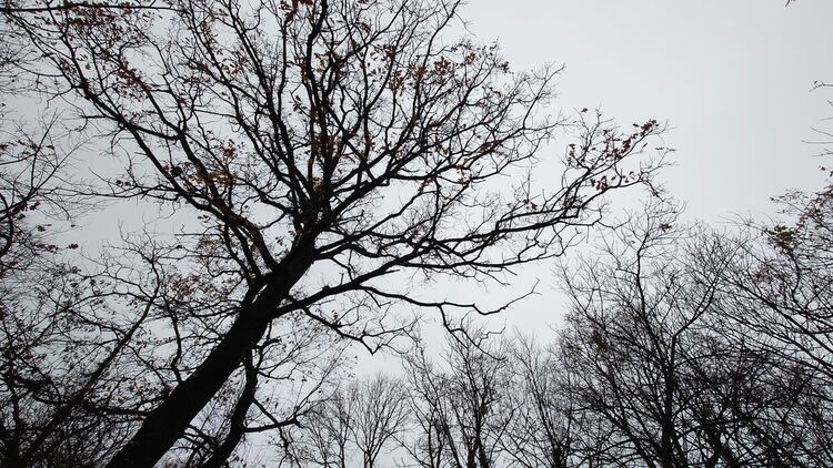 Облачността намалява, температури около нулата