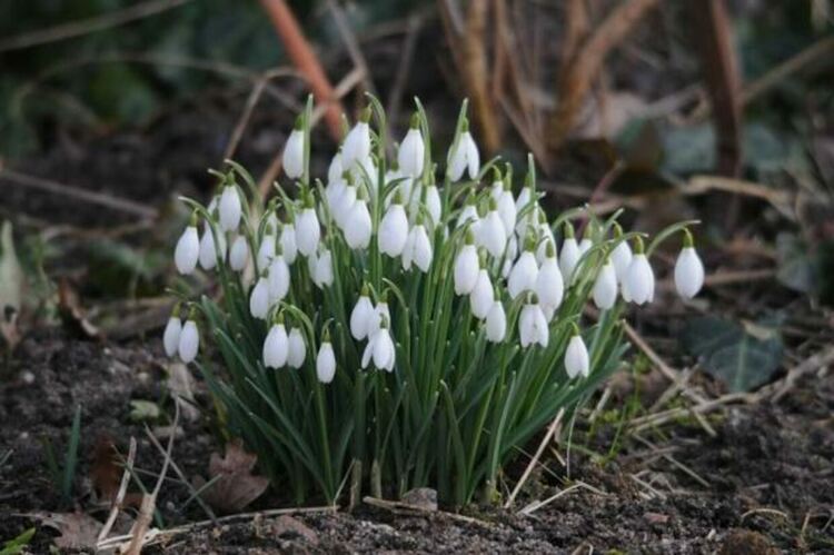 Мразовито утро, слънце през деня