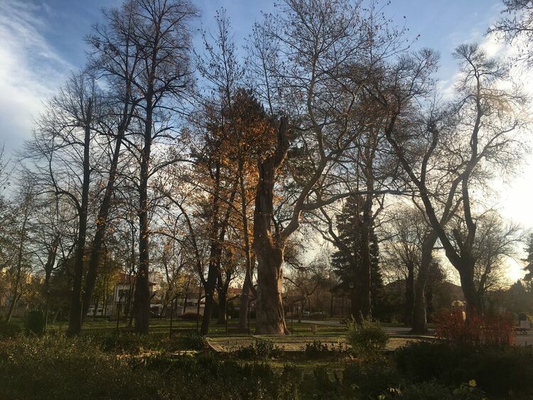 Слънчево, вятърът стихва