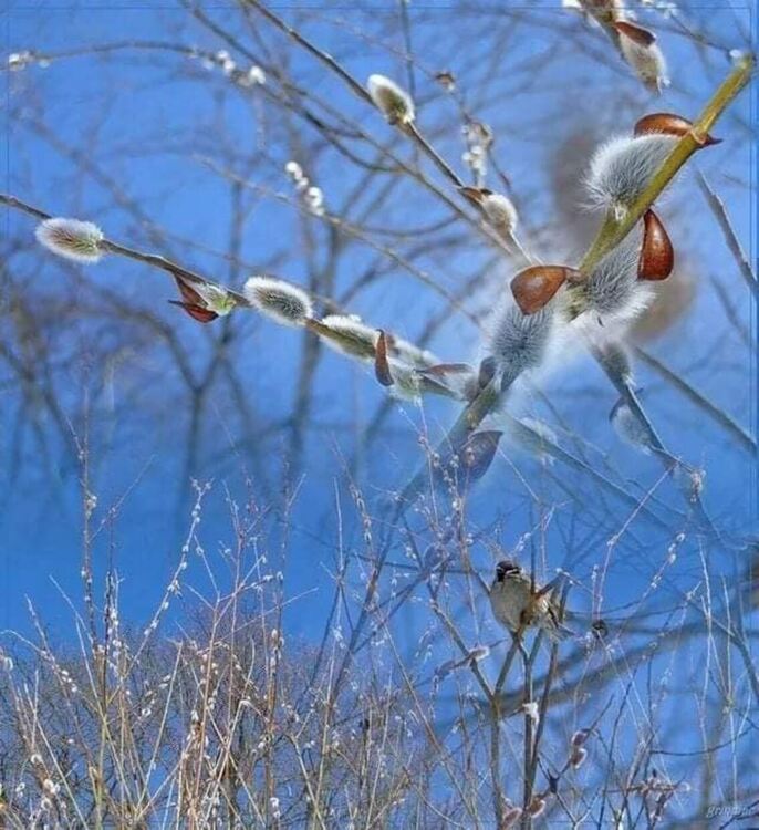 Малко по-топло днес през деня, но сутринта остава много студено
