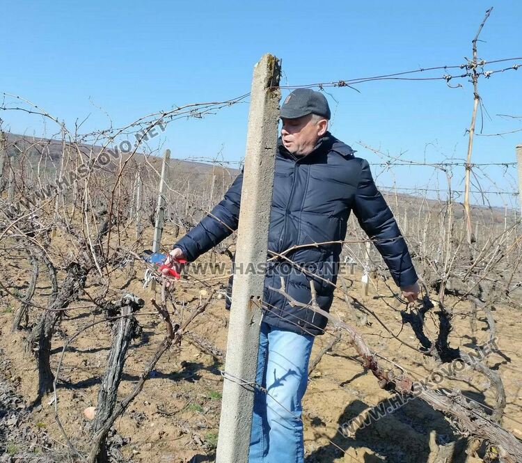 В с.Димитровче зарязаха лозята, оркестър "Канарите" дари за пострадалите в Турция