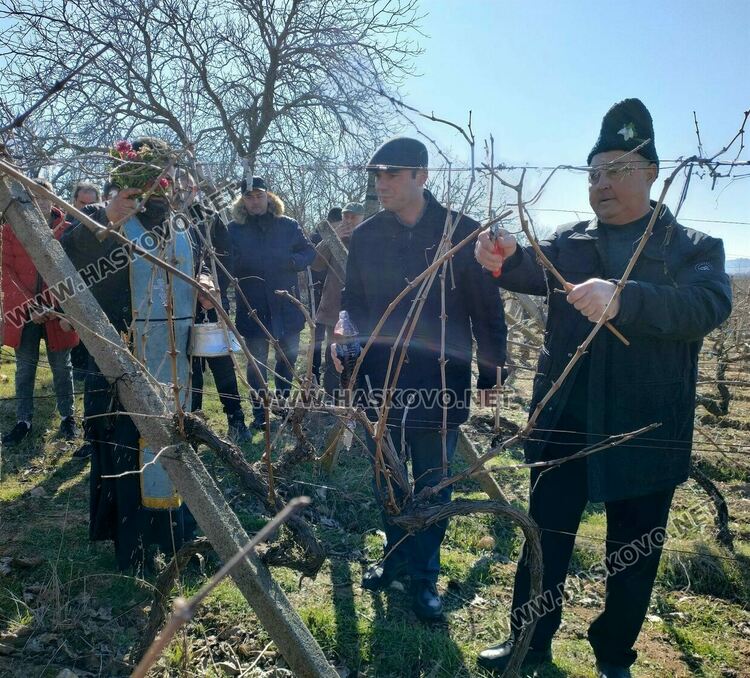 В с.Димитровче зарязаха лозята, оркестър "Канарите" дари за пострадалите в Турция