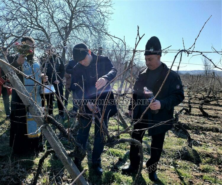 В с.Димитровче зарязаха лозята, оркестър "Канарите" дари за пострадалите в Турция