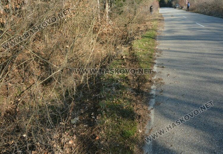 25-годишен водач загина на място след удар в дърво до ханче „Клокотница“