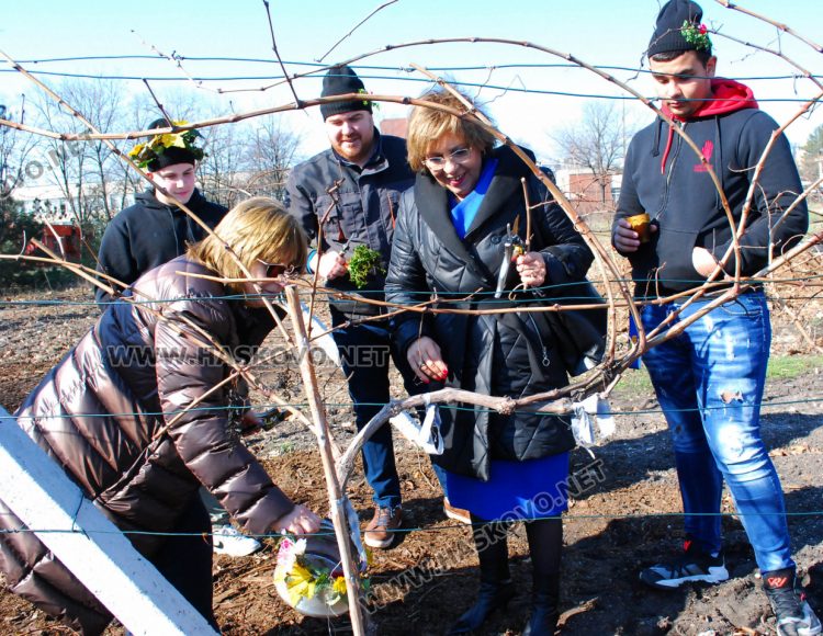 Шефката на Образованието в Хасково заряза лозето на Трифоновден с бъдещите агрономи