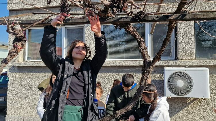 Сърца цъфтят в алеите на ПГСС, зарязаха и лозята