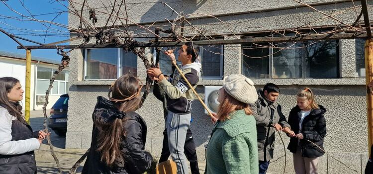 Сърца цъфтят в алеите на ПГСС, зарязаха и лозята