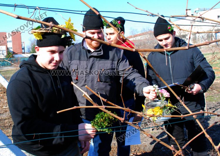 Шефката на Образованието в Хасково заряза лозето на Трифоновден с бъдещите агрономи