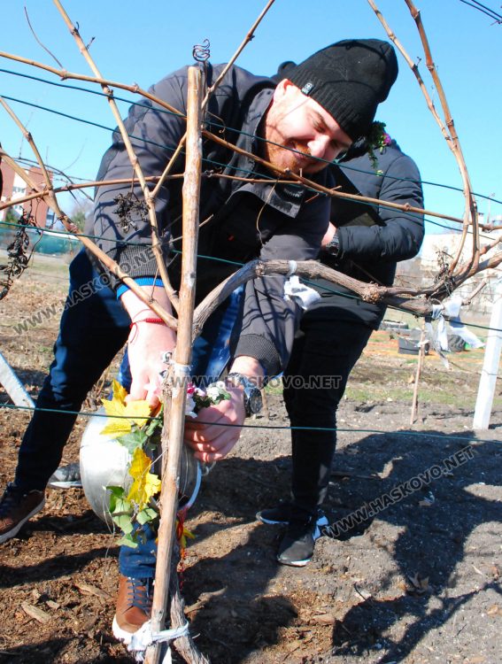 Шефката на Образованието в Хасково заряза лозето на Трифоновден с бъдещите агрономи