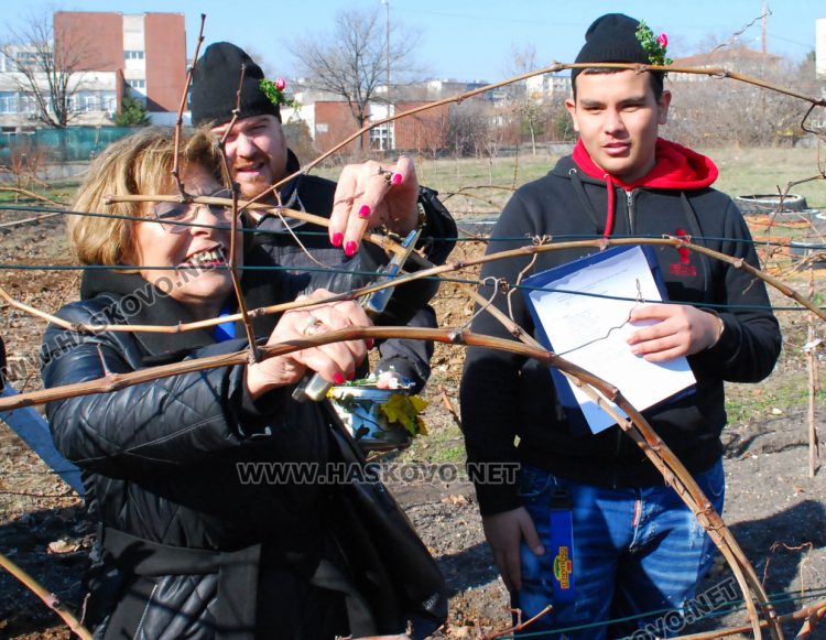 Шефката на Образованието в Хасково заряза лозето на Трифоновден с бъдещите агрономи