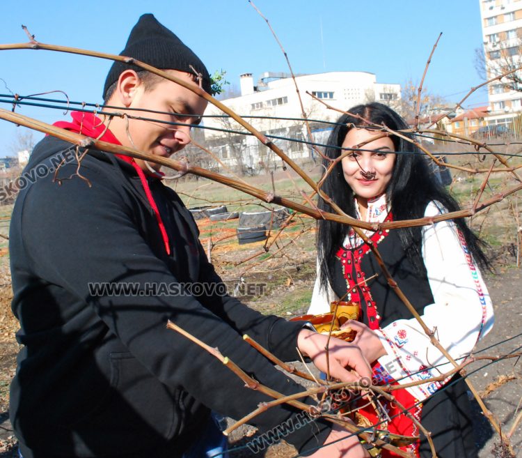 Шефката на Образованието в Хасково заряза лозето на Трифоновден с бъдещите агрономи