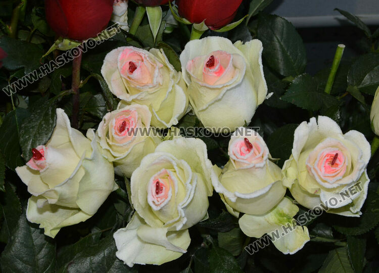 Напомняне с намигване за Деня на влюбените отправиха към мъжете от магазин за цветя