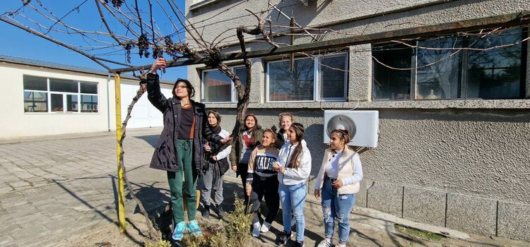 Сърца цъфтят в алеите на ПГСС, зарязаха и лозята