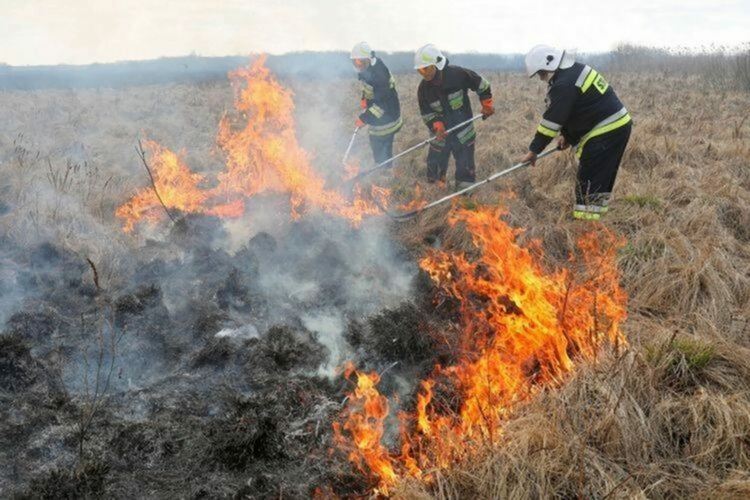 Заради човешка небрежност пламнаха сухи треви в Маданско и Неделинско