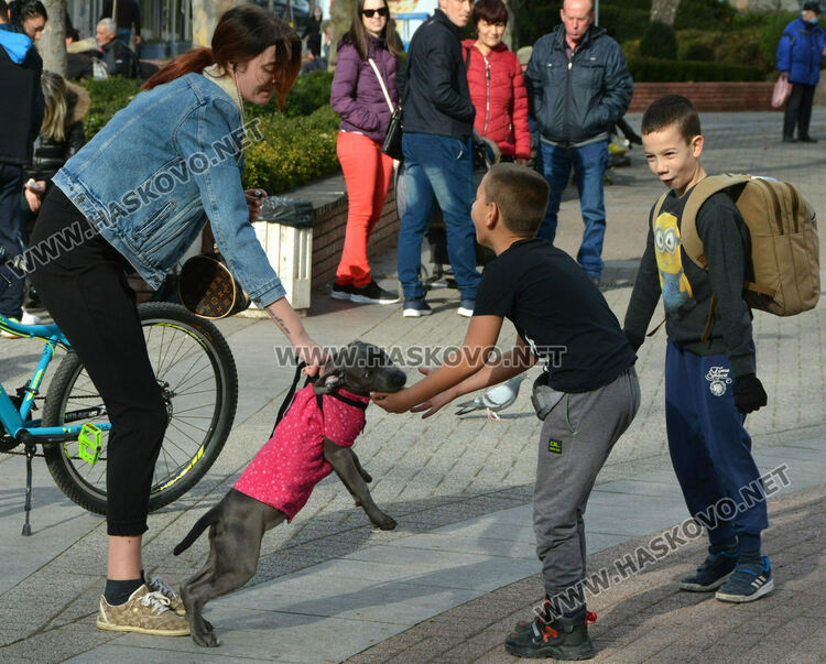 Измериха температурен рекорд в Хасково