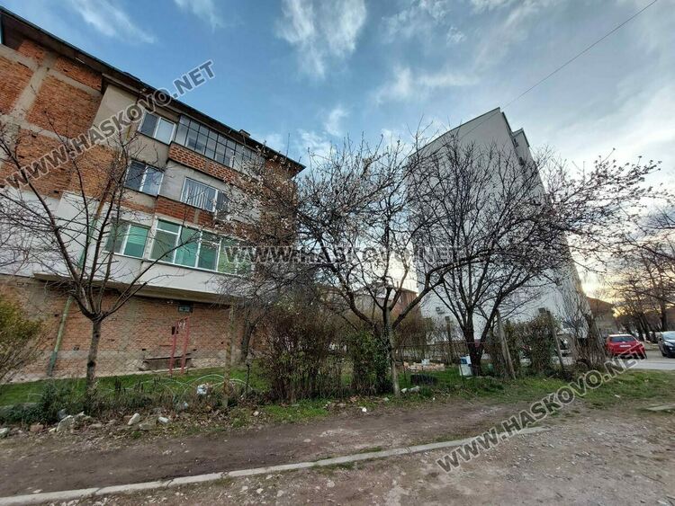 В Хасково цъфнаха бадемите в топлото време