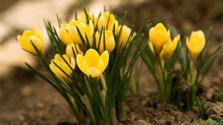 Променлива облачност и още февруарска жега