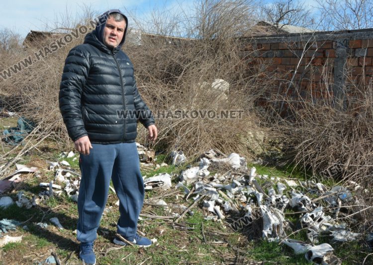 Разчистват незаконно сметище, още две глоби за хасковлия