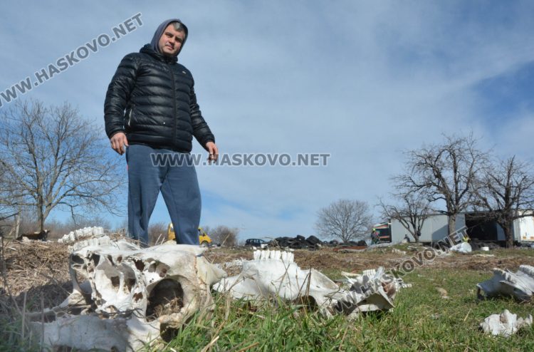 Димитър Димитров