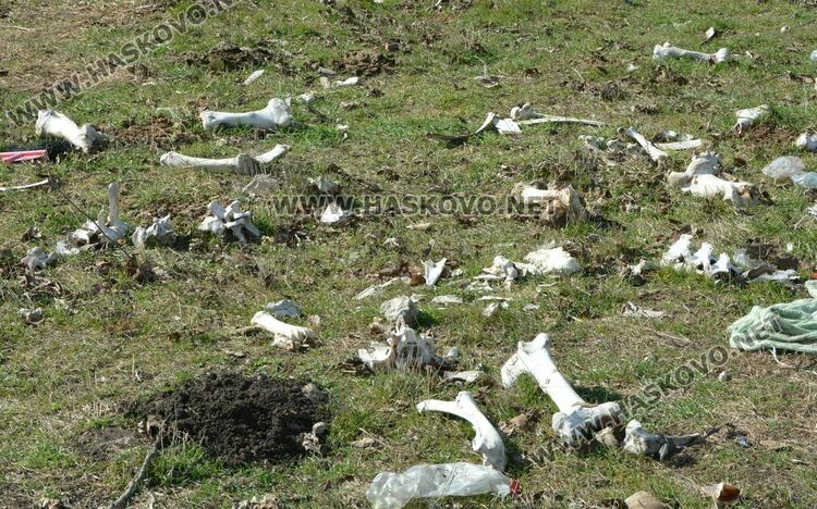 Разчистват незаконно сметище, още две глоби за хасковлия