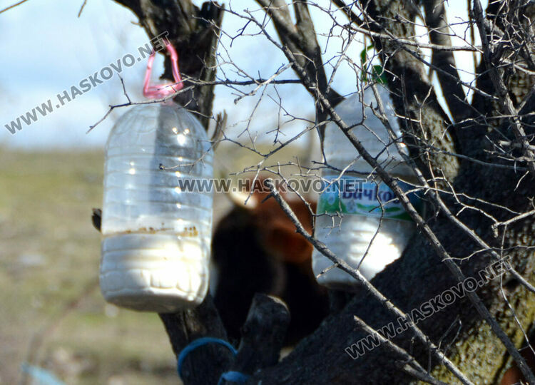 Разчистват незаконно сметище, още две глоби за хасковлия