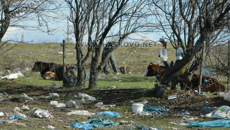 Разчистват незаконно сметище, още две глоби за хасковлия