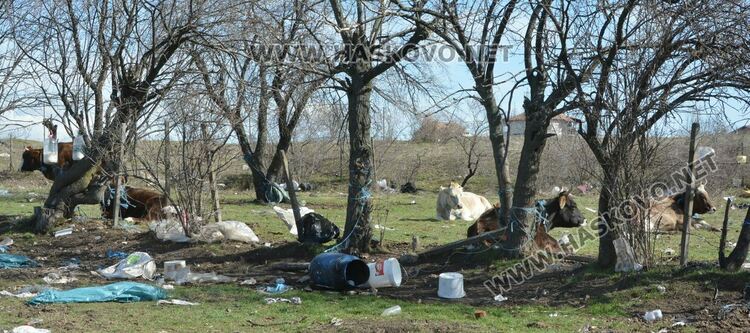 Разчистват незаконно сметище, още две глоби за хасковлия