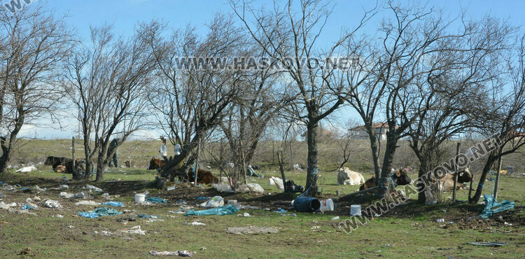 Разчистват незаконно сметище, още две глоби за хасковлия