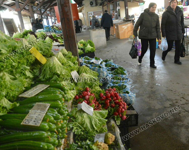 Краставиците с рекордно високи цени в Хасково, достигнаха 7 лева