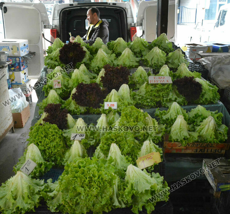 Краставиците с рекордно високи цени в Хасково, достигнаха 7 лева