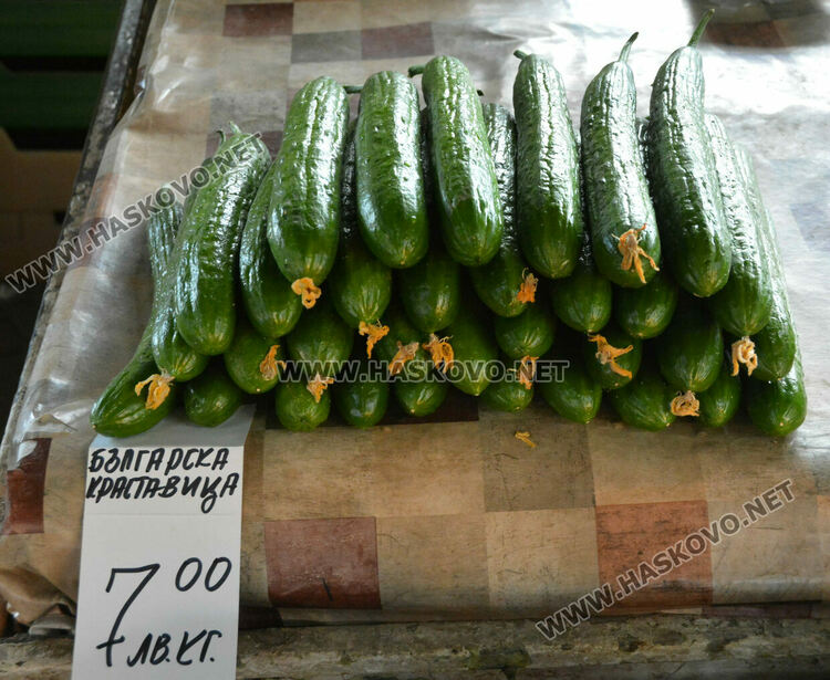 Краставиците с рекордно високи цени в Хасково, достигнаха 7 лева