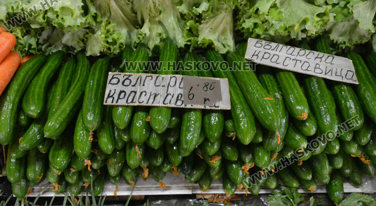 Краставиците с рекордно високи цени в Хасково, достигнаха 7 лева