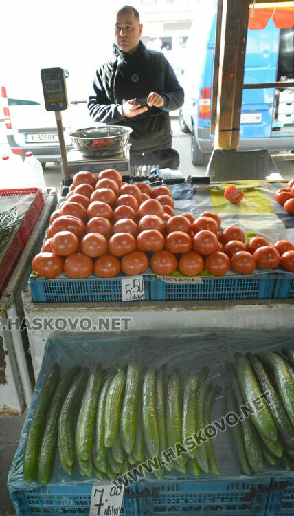 Краставиците с рекордно високи цени в Хасково, достигнаха 7 лева