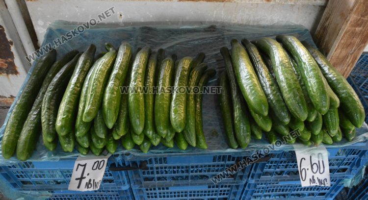 Краставиците с рекордно високи цени в Хасково, достигнаха 7 лева