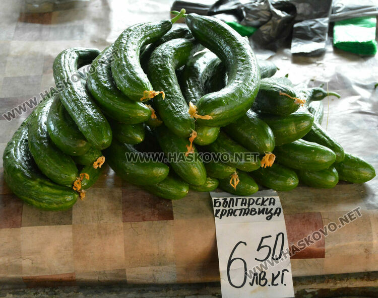 Краставиците с рекордно високи цени в Хасково, достигнаха 7 лева