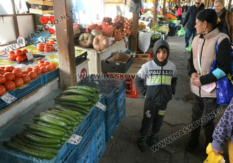 Краставиците с рекордно високи цени в Хасково, достигнаха 7 лева