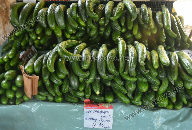 Краставиците с рекордно високи цени в Хасково, достигнаха 7 лева