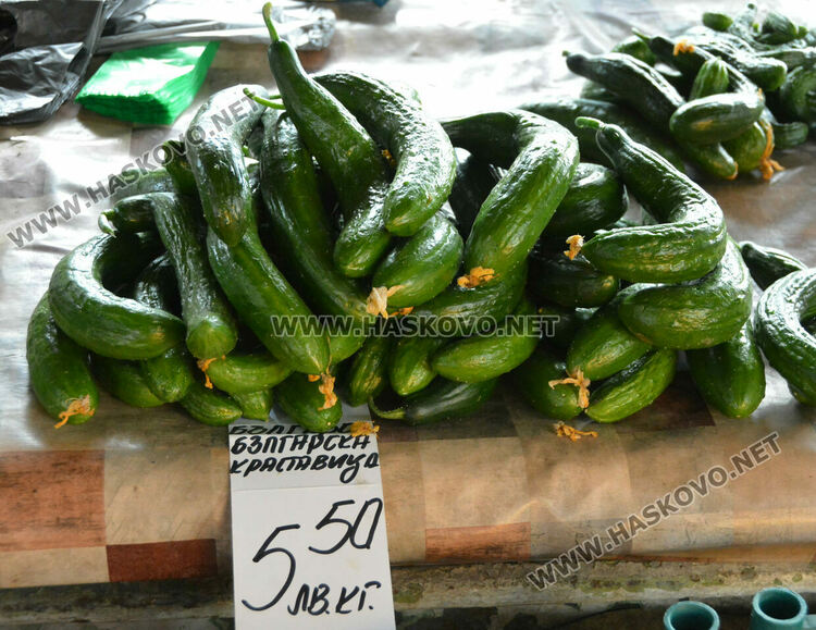 Краставиците с рекордно високи цени в Хасково, достигнаха 7 лева