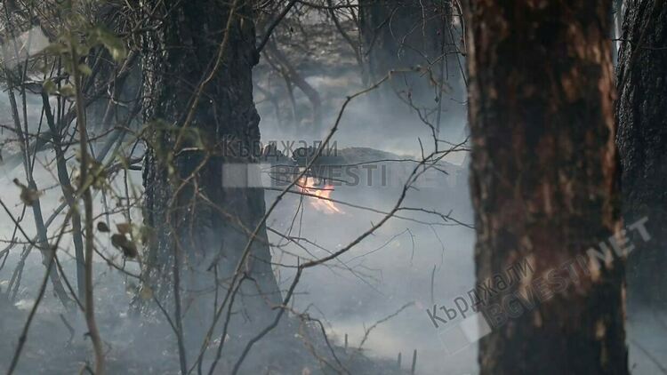 Огнеборци и горски служители потушиха пожар обхванал 80 декара край село Ябълковец 