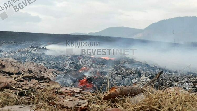 Пожар  изпепели 30 декара горска постеля в землището на Рогозче