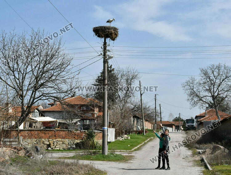 Щъркелът Дончо се върна в гнездото си в с. Подкрепа като предвестник на пролетта