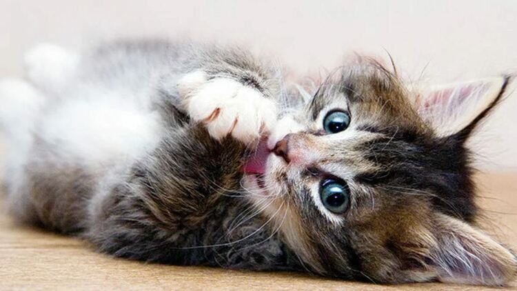 Оранжев код за силен вятър днес, остава топло за февруари