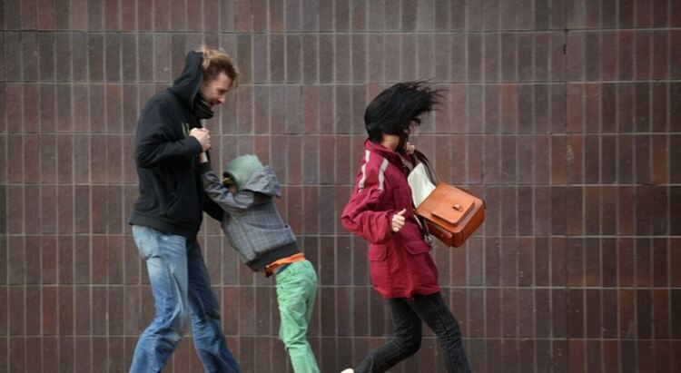 Жълт код за силен южен вятър в понеделник