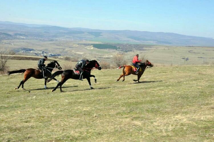 Конни надбягвания и демонстрация на средновековни бойни умения организират за Тодоровден в брезнишкото село Бегуновци