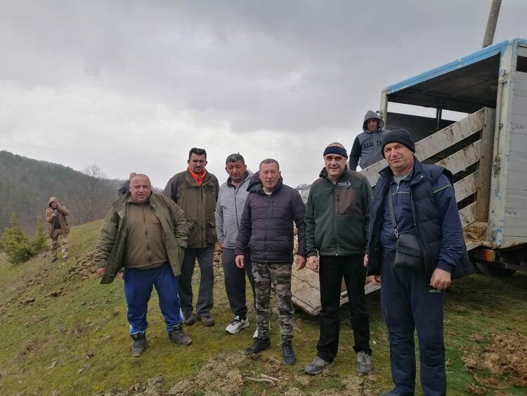 15 елени-лопатари бяха разселиха ловци от Момчилград